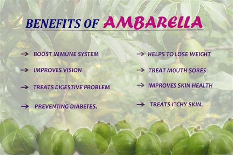 Ambarella Fruit: How It Can Benefit Your Overall Well.